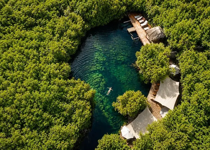 Garden Atelier - Private Cenote & Steps From The *